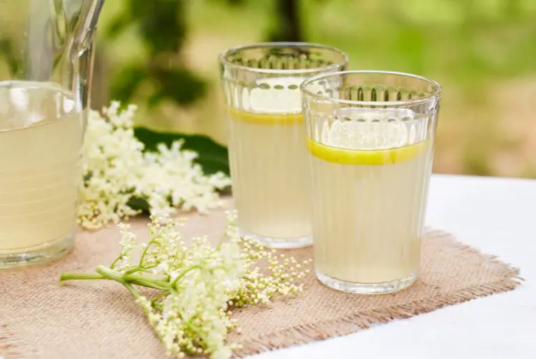 Elderflower Cordial – Easy recipe without citric acid