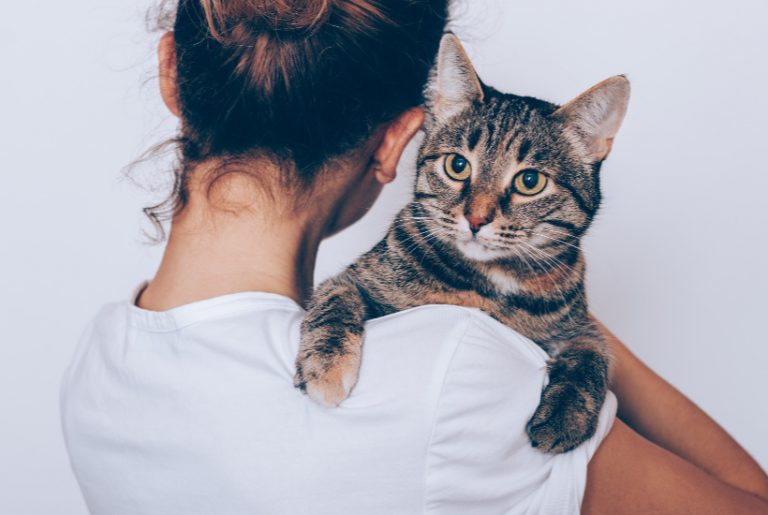 6 tips on how to save money as a pet owner