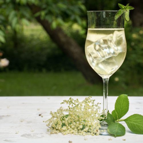 Elderflower Champagne Recipe - Easy Step by Step Instructions