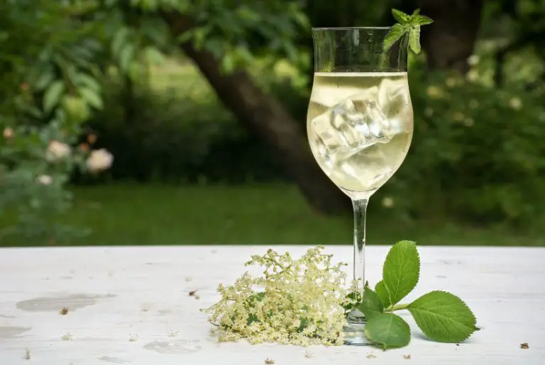 Elderflower Champagne Recipe Easy Step by Step Instructions