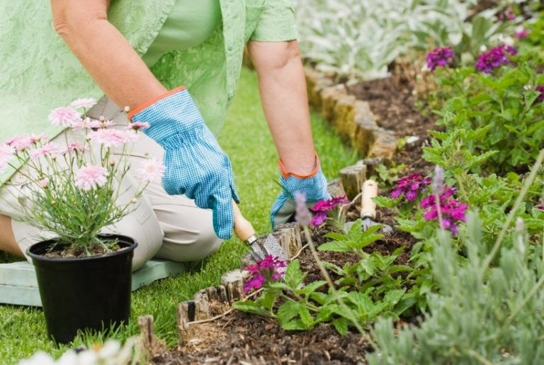 Gardening on a Budget: 5 Ways to Save Money