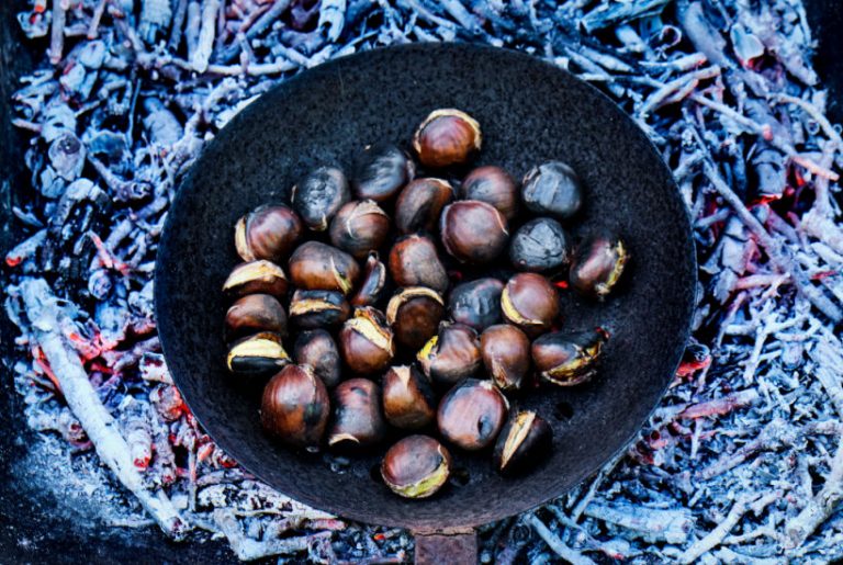 Foraging in November – Guide to wild food & Recipes
