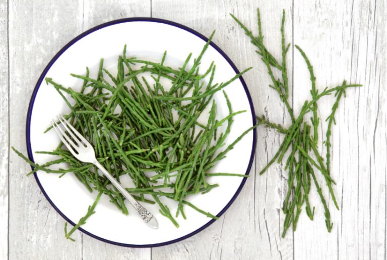 Marsh Samphire: Foraging Guide & Recipes