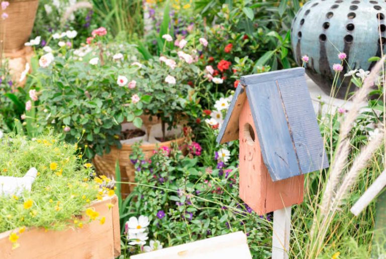 Practical Tips that will Turn your Garden into a Wildlife Haven