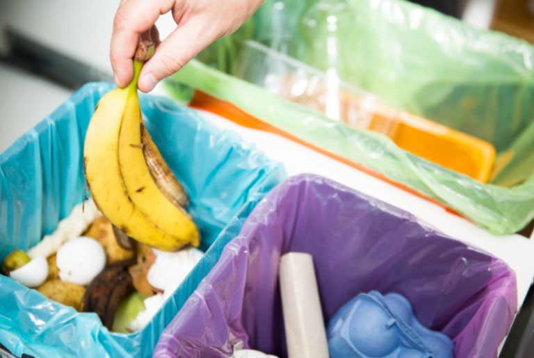 6 Ways To Deal With Household Waste