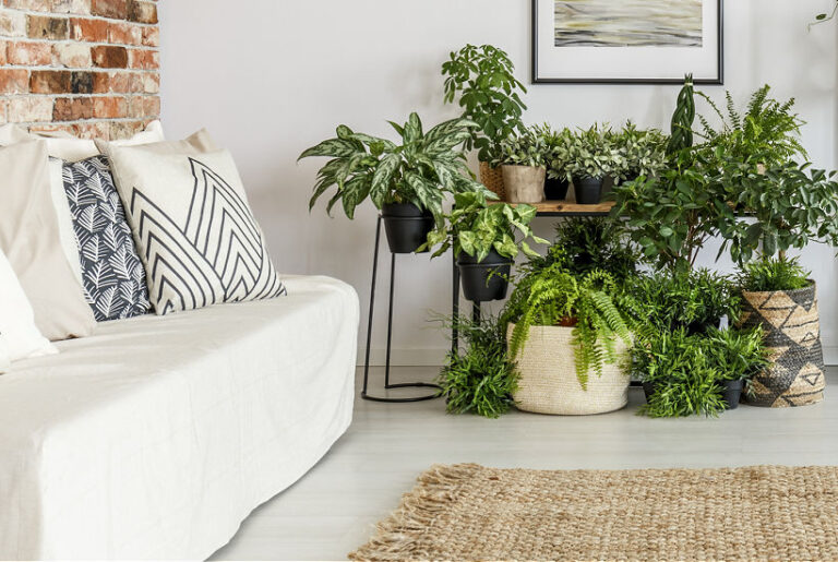 6 Simple Steps To Building A Happier & Environmentally-Friendlier Home