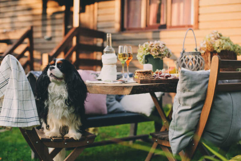 Using Your Garden Every Day Of The Year Can Be Easy