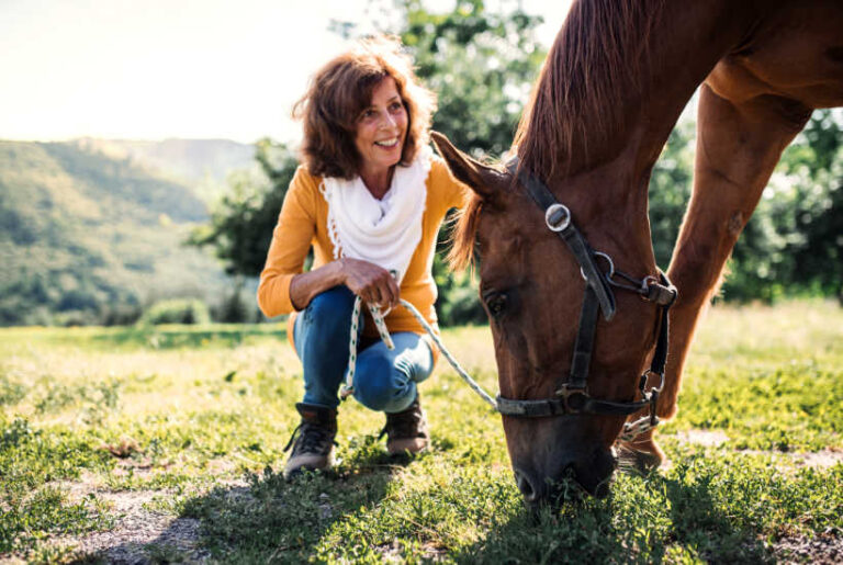 Horse Ownership for Beginners: What You Ought to Know