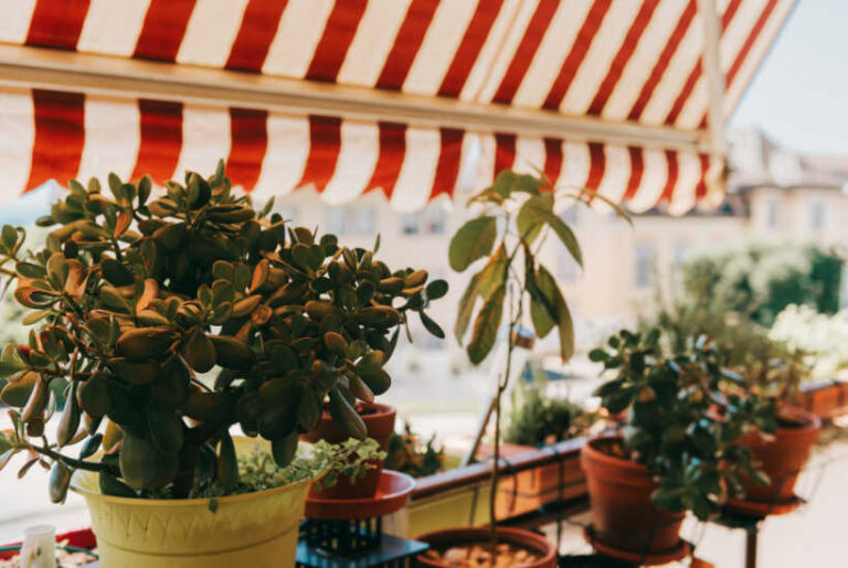 How to Keep Your Awnings Looking Like New: Tips and Tricks